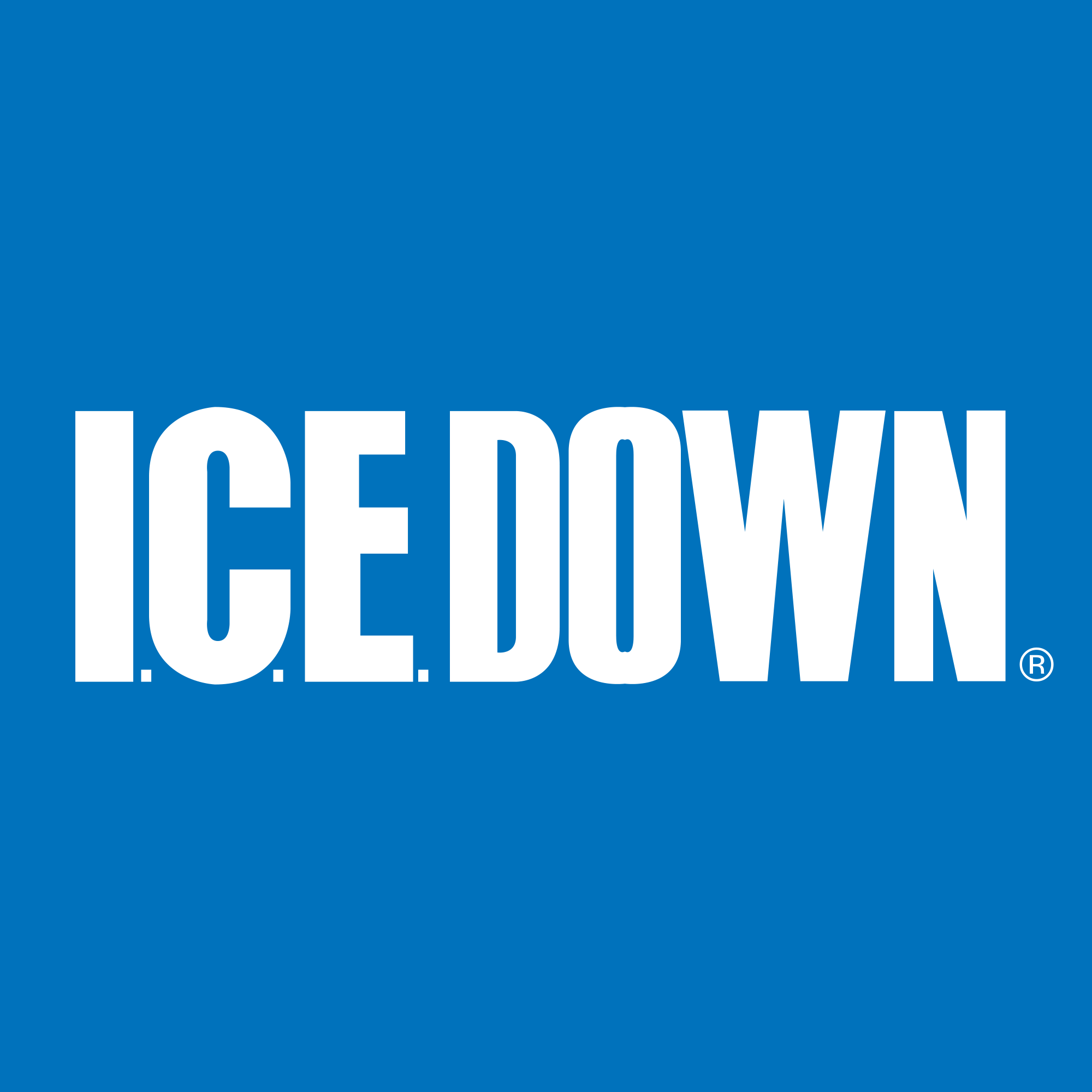 Ice Down Coupon